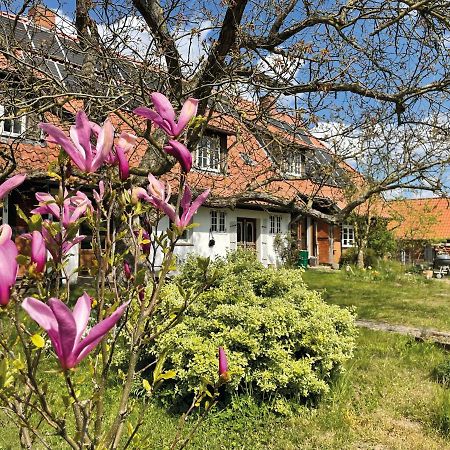 Ferienhof Rauchhaus Karft المظهر الخارجي الصورة