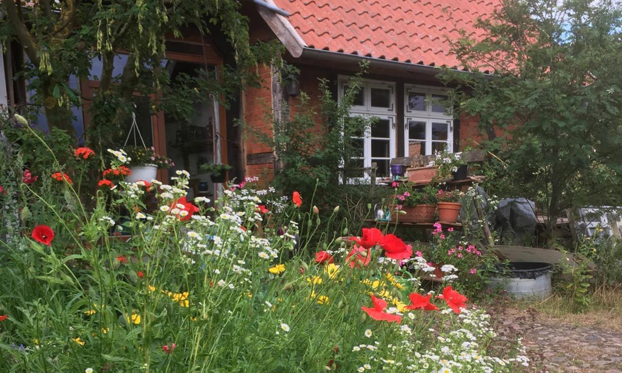 Ferienhof Rauchhaus Karft المظهر الخارجي الصورة