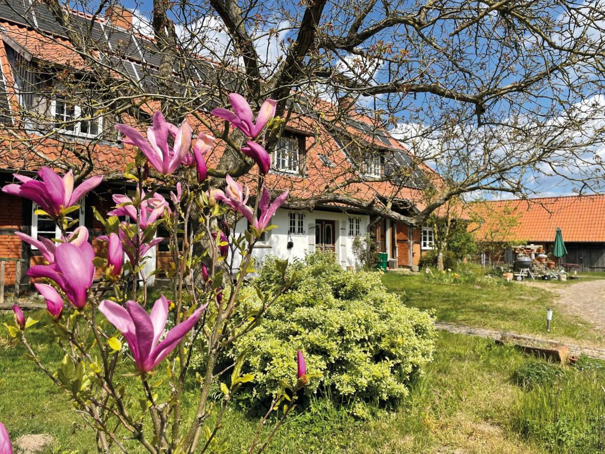 Ferienhof Rauchhaus Karft المظهر الخارجي الصورة